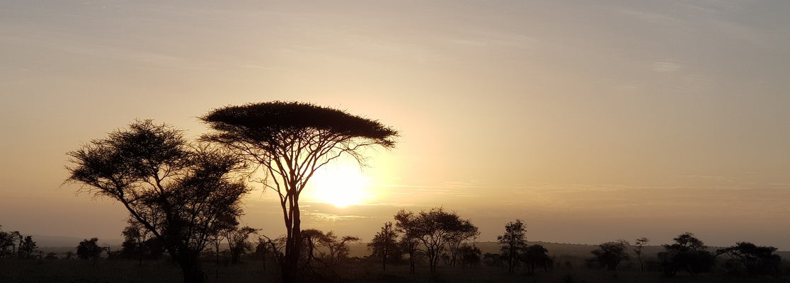 Serengeti National Park - Tanzanya, Arusha