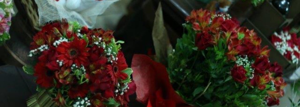 Floricultura Santana Santana 7 dicas de 76 clientes