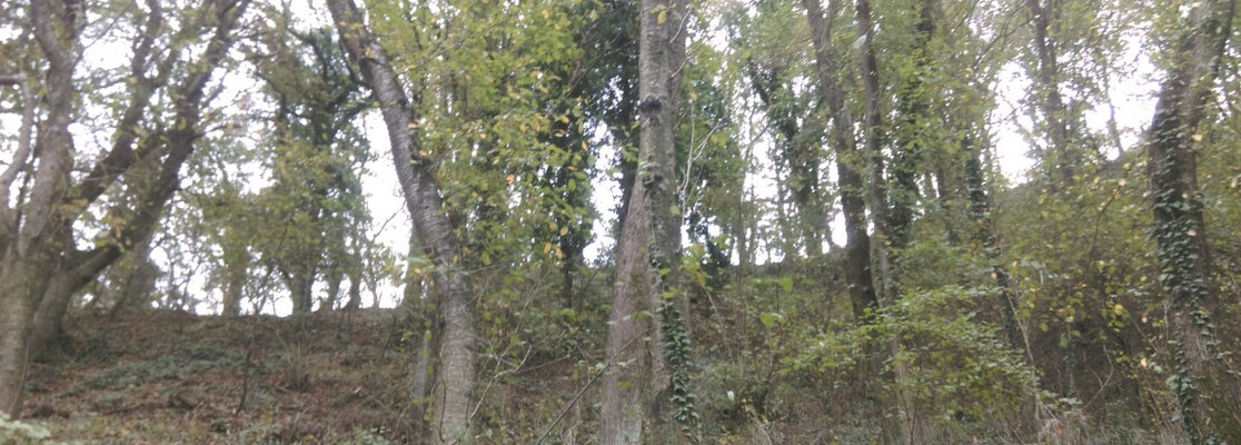 hanedan et mangal Arnavutköy 1406 ziyaretçidan 8 tavsiye