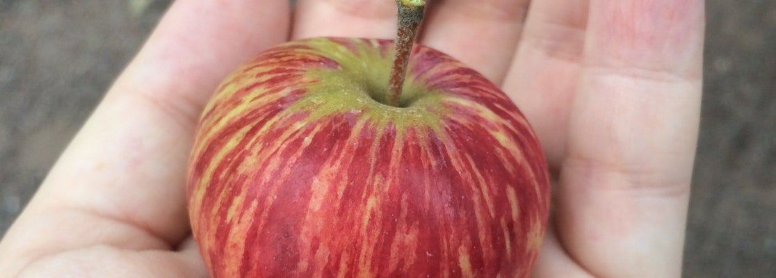 Музей-заповедник «Коломенское» - Нагатинский затон - 547 tips