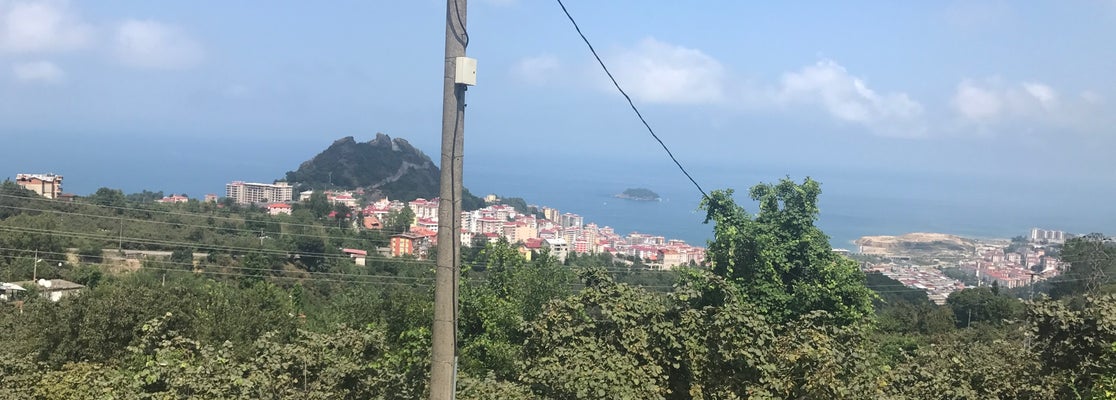 Orta Kahve 246 181 tips