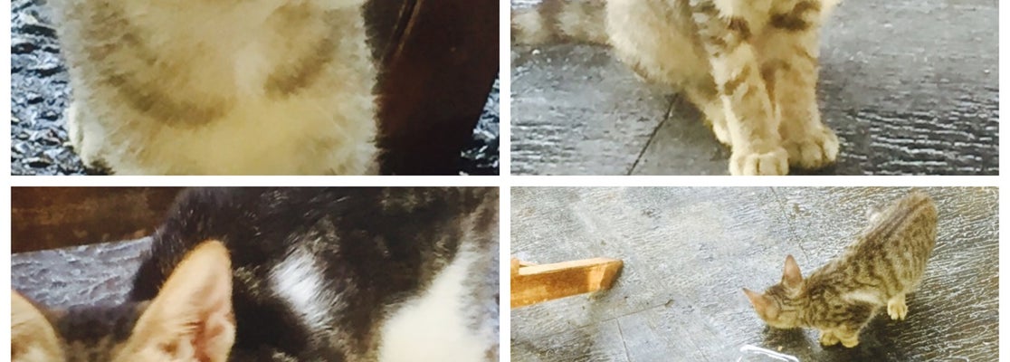 Taman Indraloka - Cipayung - Jakarta, Jakarta