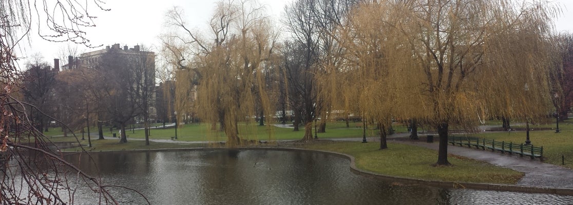 Boston Public Garden - Jardín en Boston