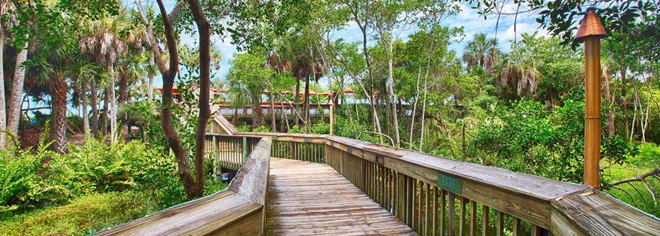 gumbo limbo naples gumbo limbo naples