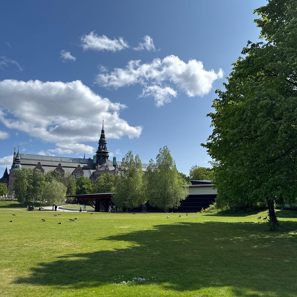 Königlicher Djurgården Spaziergang & das legendäre Vasa Museum – Bild 2