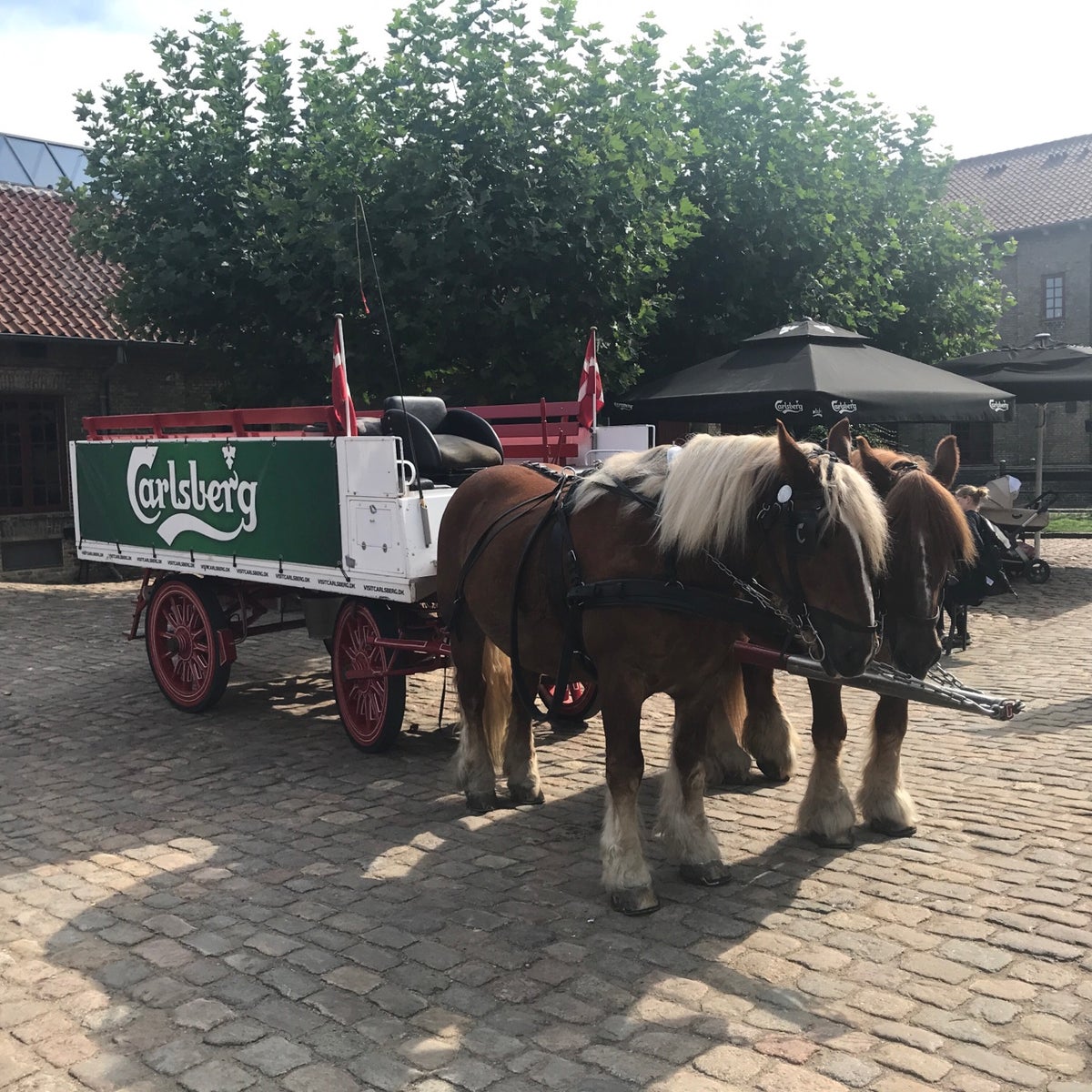Eintrittskarte für die Home of Carlsberg Experience – Bild 1