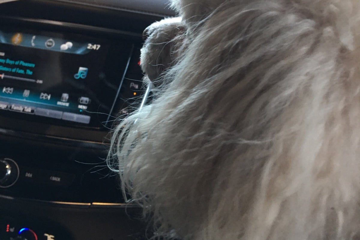 Alaska USA FCU 4000 Credit Union Dr, Anchorage