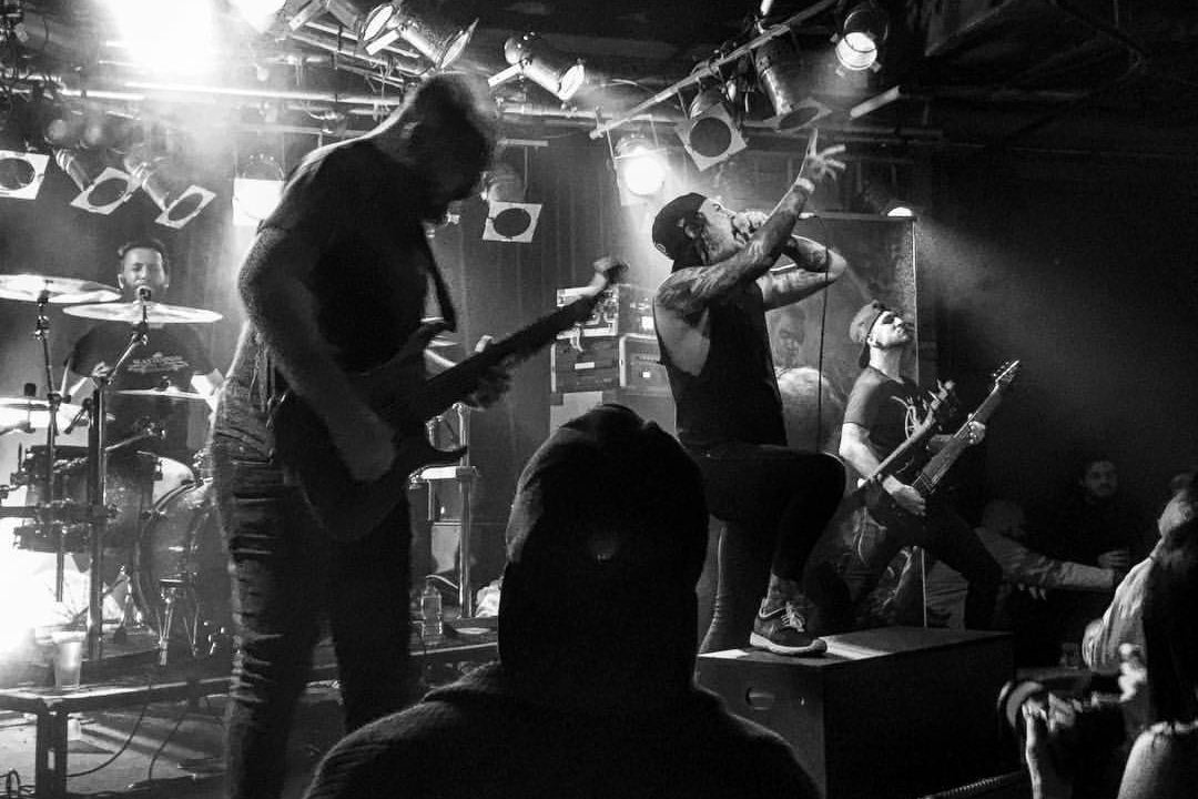 Amplifier Bar 383 Murray St, Perth