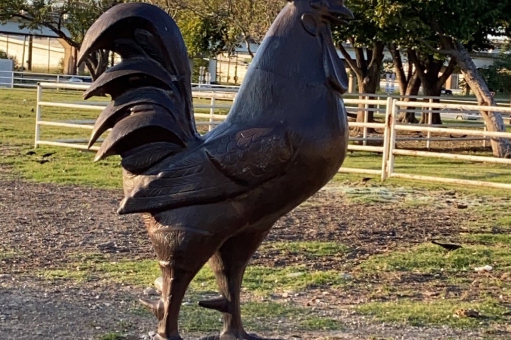 Fuel City 801 S Riverfront Blvd, Dallas