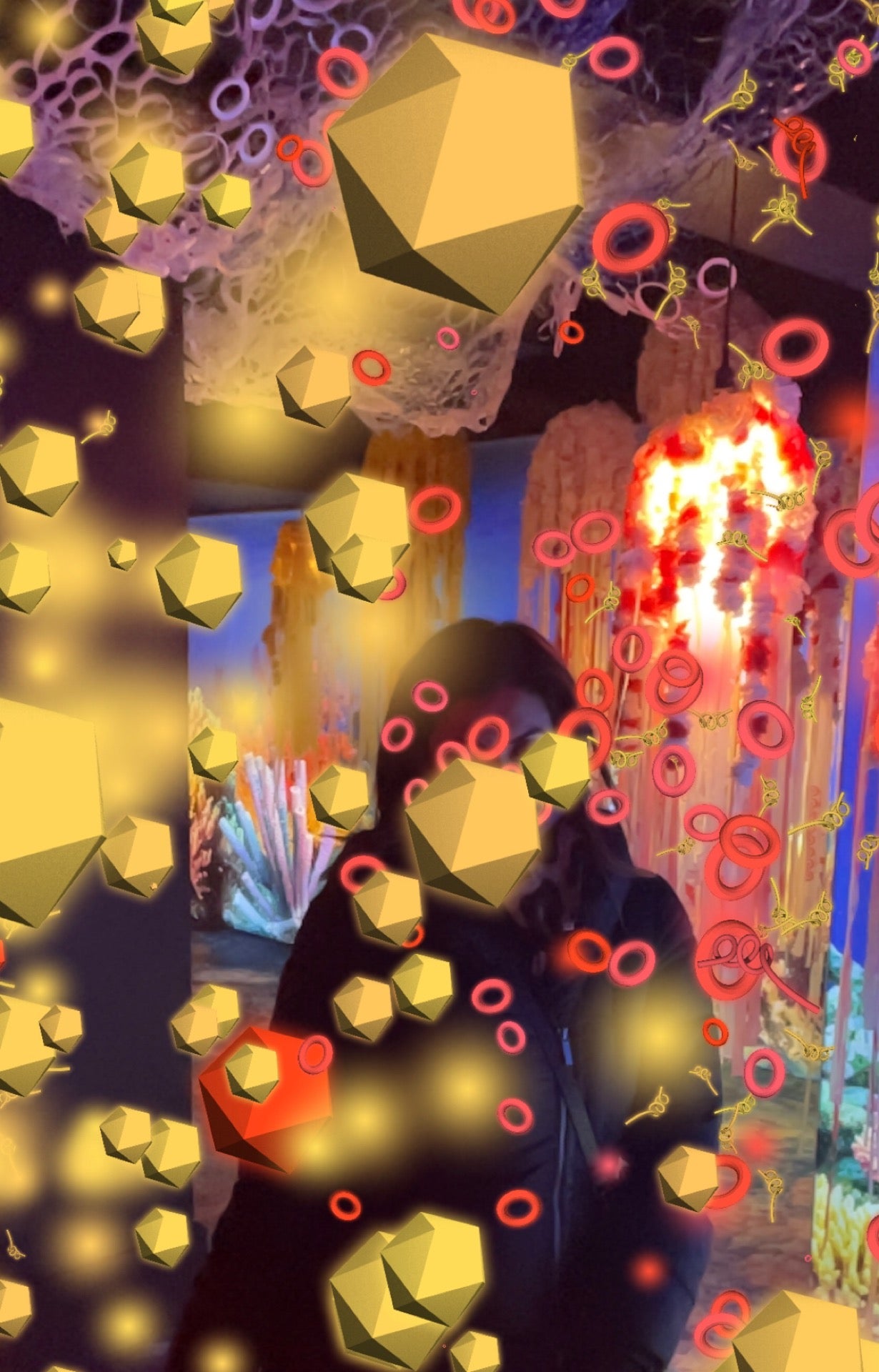 exhibit