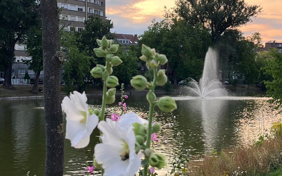 Etangs d'Ixelles / Vijvers van Elsene (MIVB / STIB) (Vijvers van Elsene (MIVB))