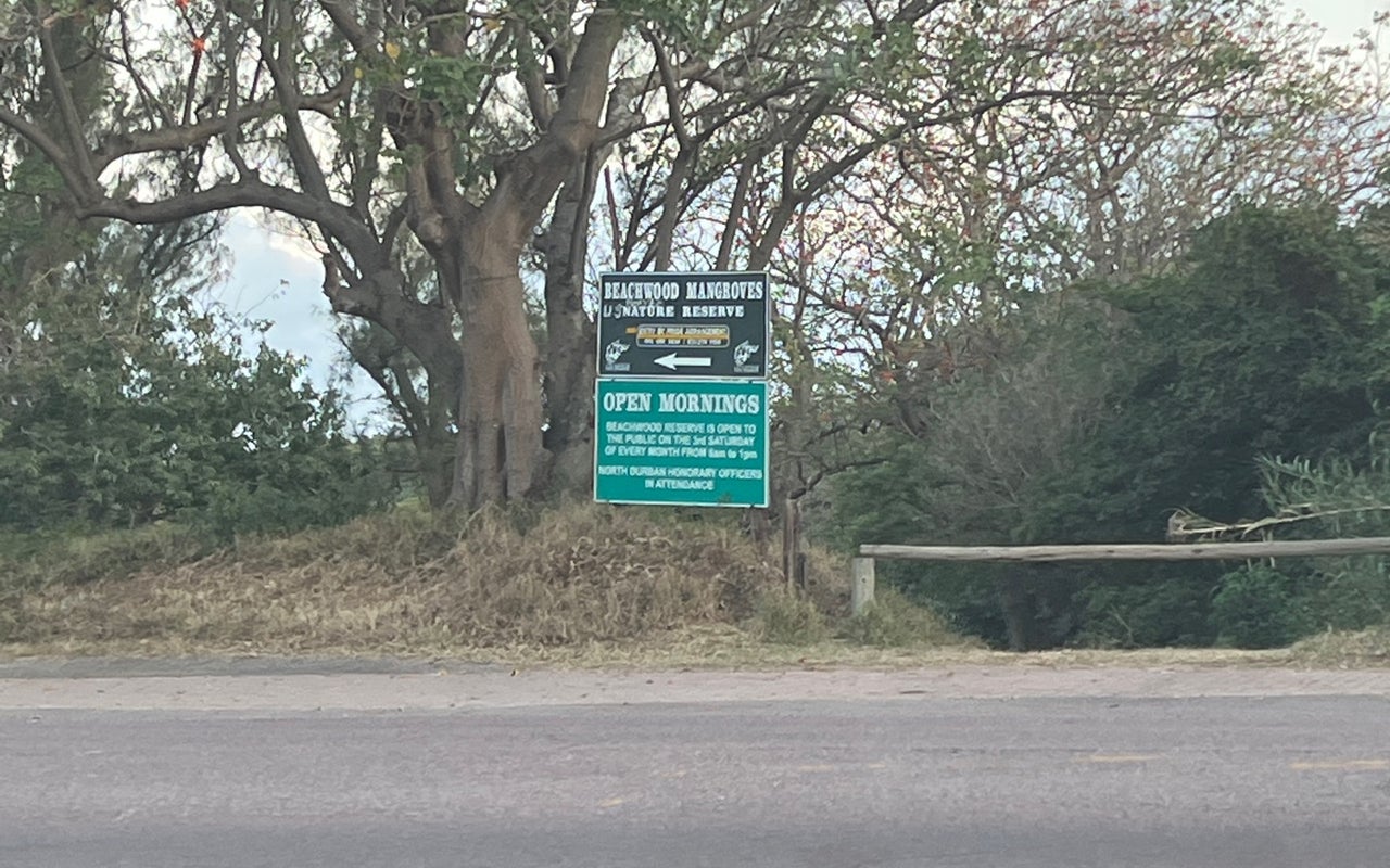 Beachwood Mangroves Nature Reserve, Kwazulu Natal, South Africa