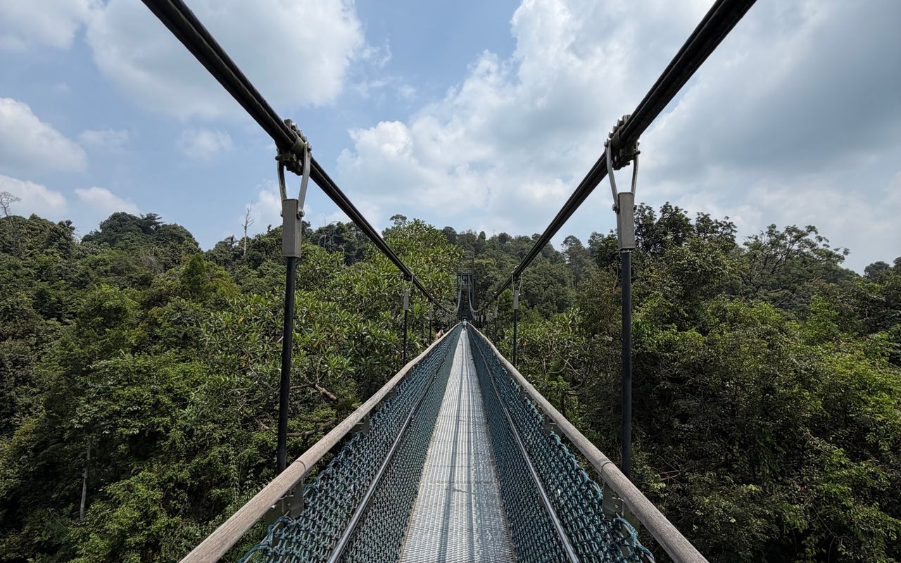 TreeTop Walk