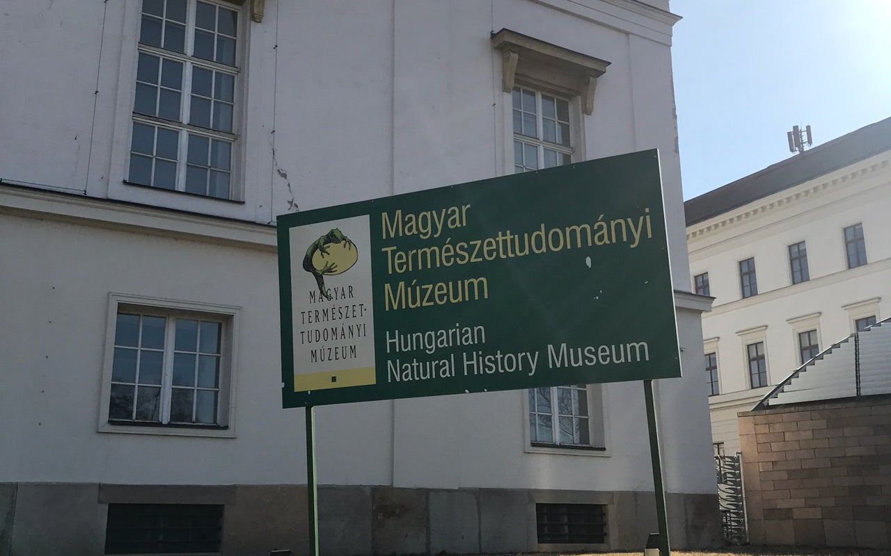 Hungarian Natural History Museum (Magyar Természettudományi Múzeum)