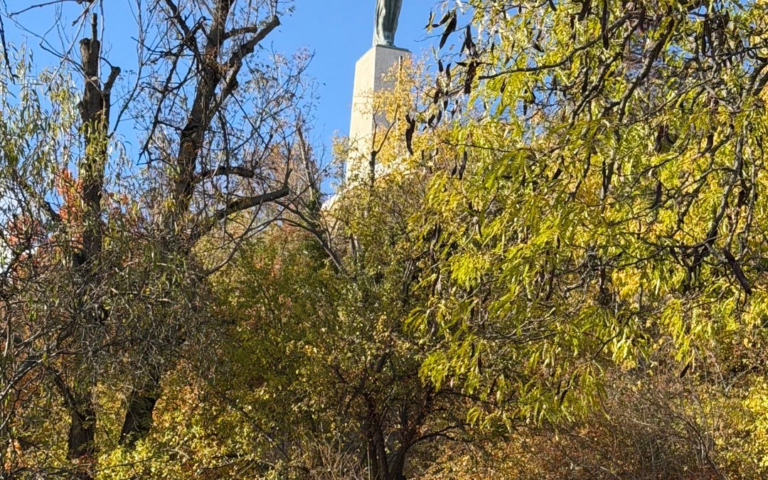 Statue of Liberty (Szabadság Szobor)
