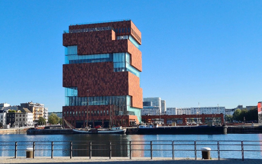 Bonapartedok