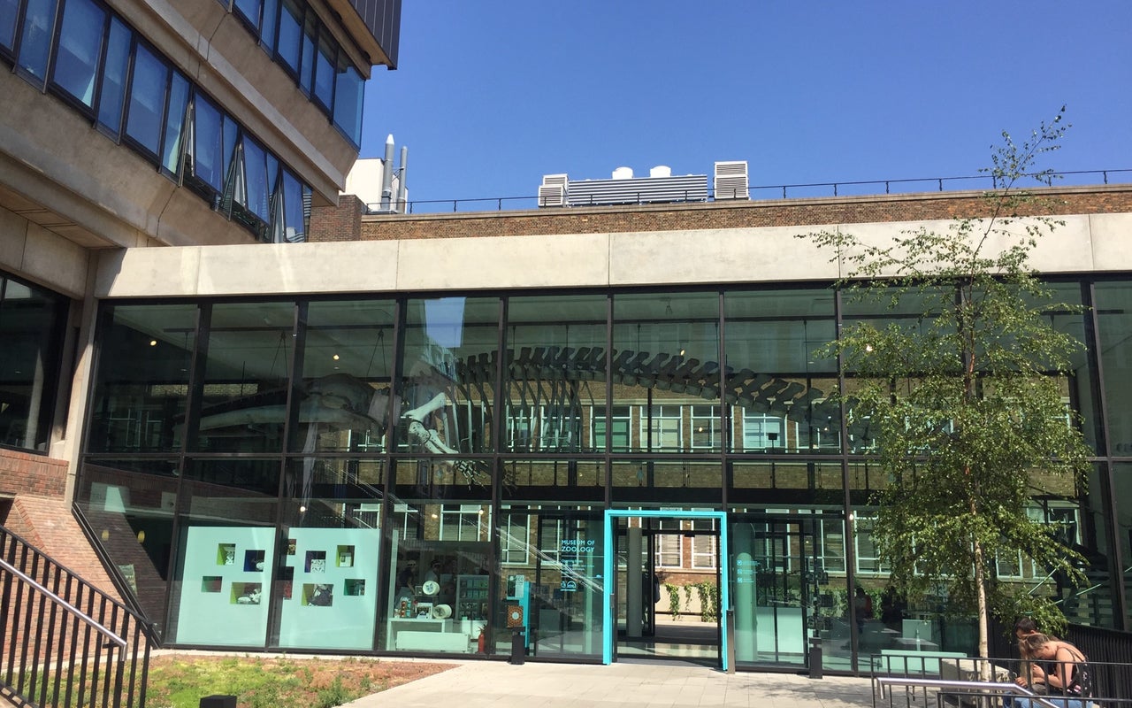 Cambridge University Museum Of Zoology