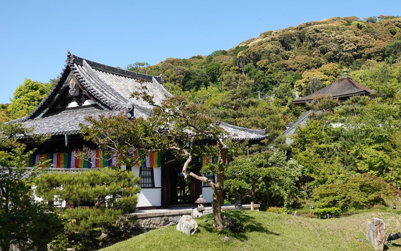 高台寺竹林 Kōdaiji Temple Bamboo Forest