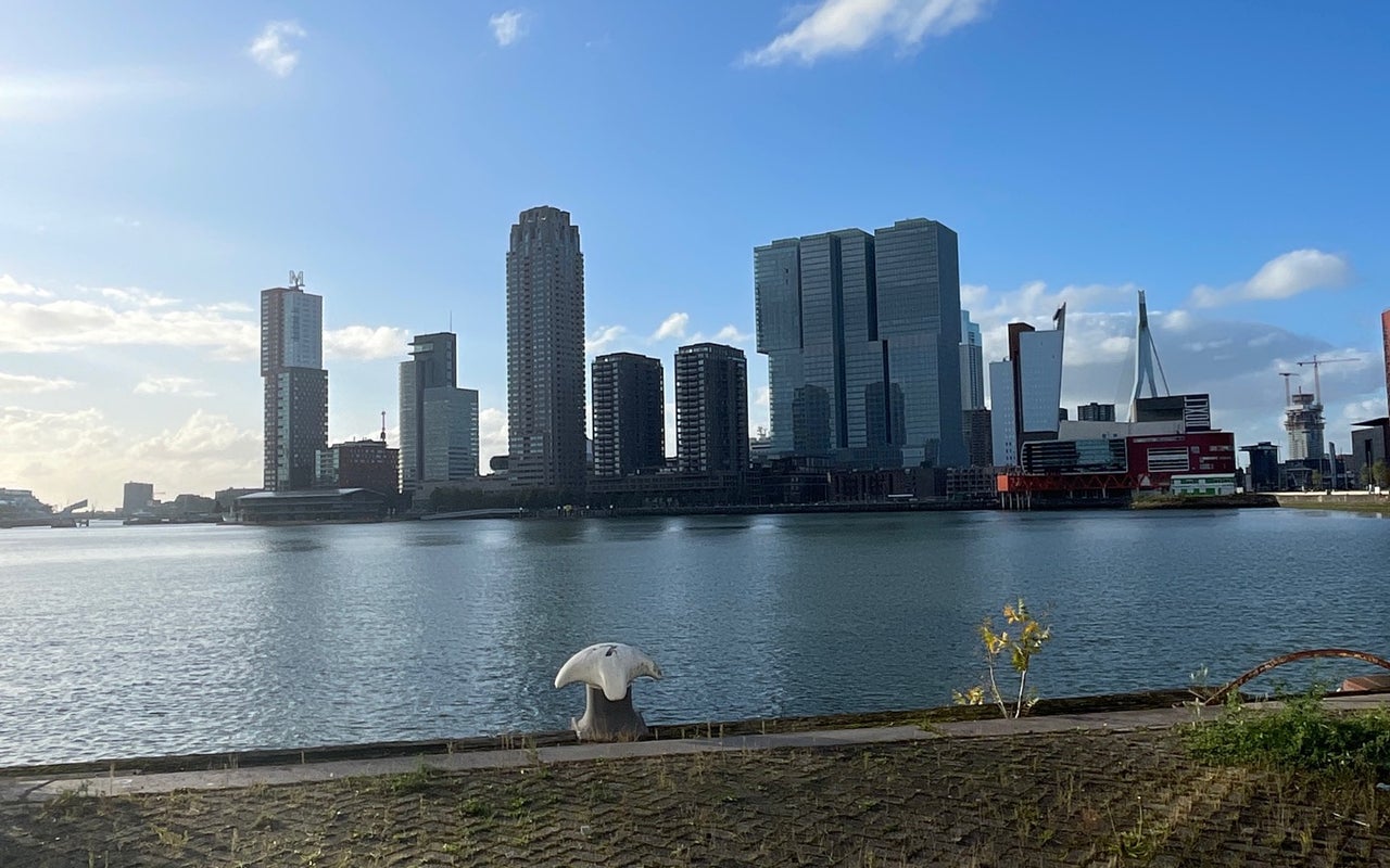 Rijnhaven