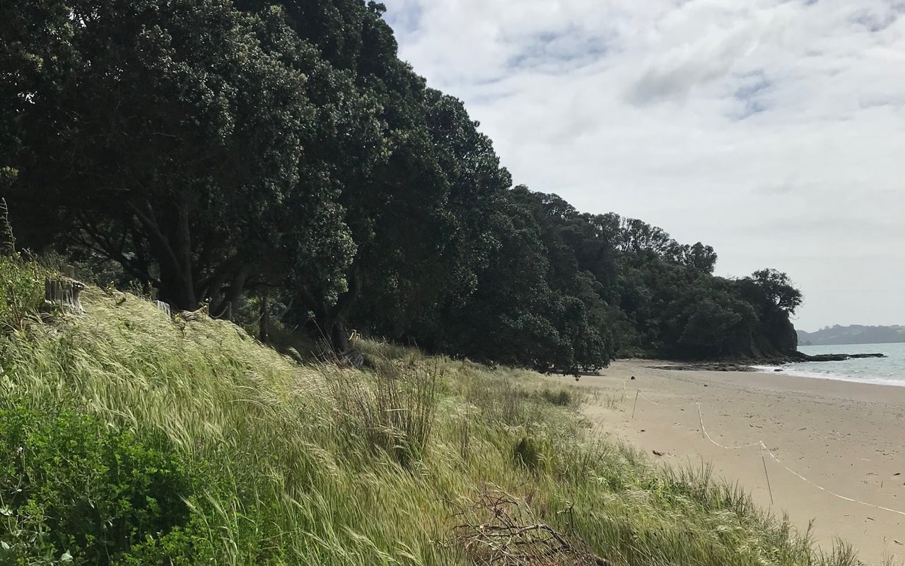 Mahurangi Regional Park