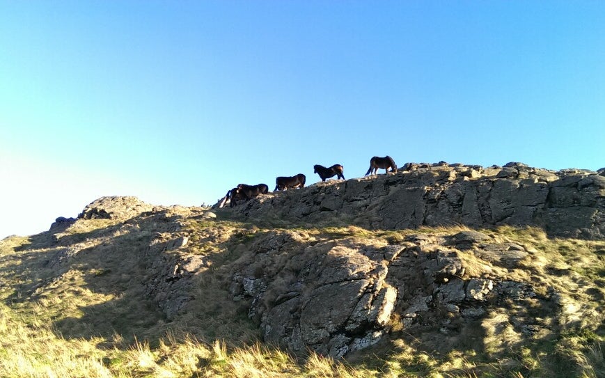 North Berwick Law
