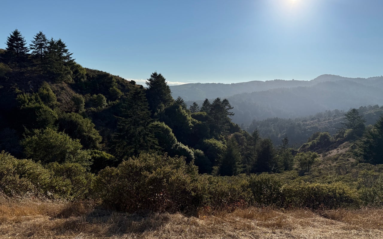 Mount Tamalpais State Park