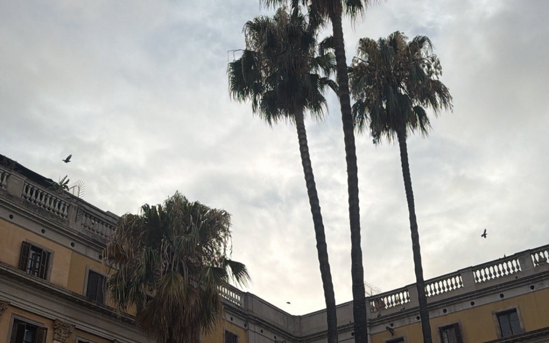 Royal Square (Plaça Reial)