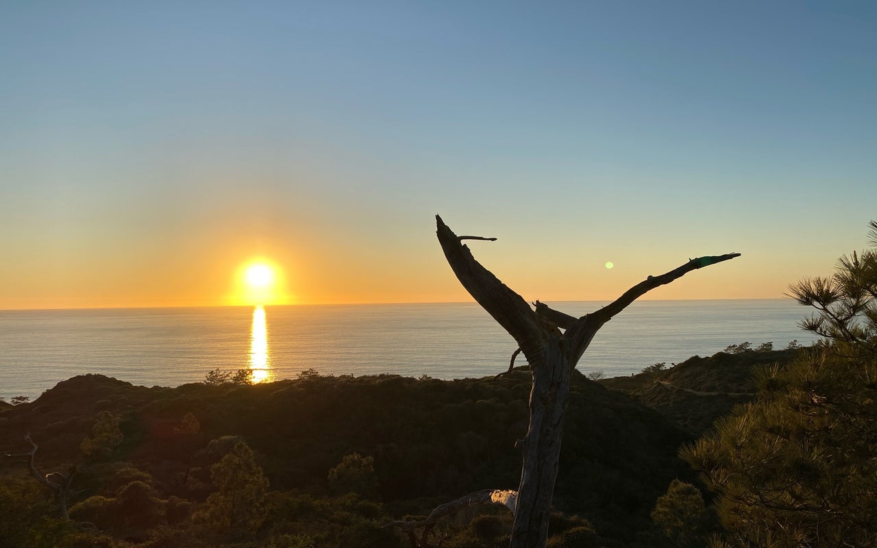 Torrey Pines State Natural Reserve