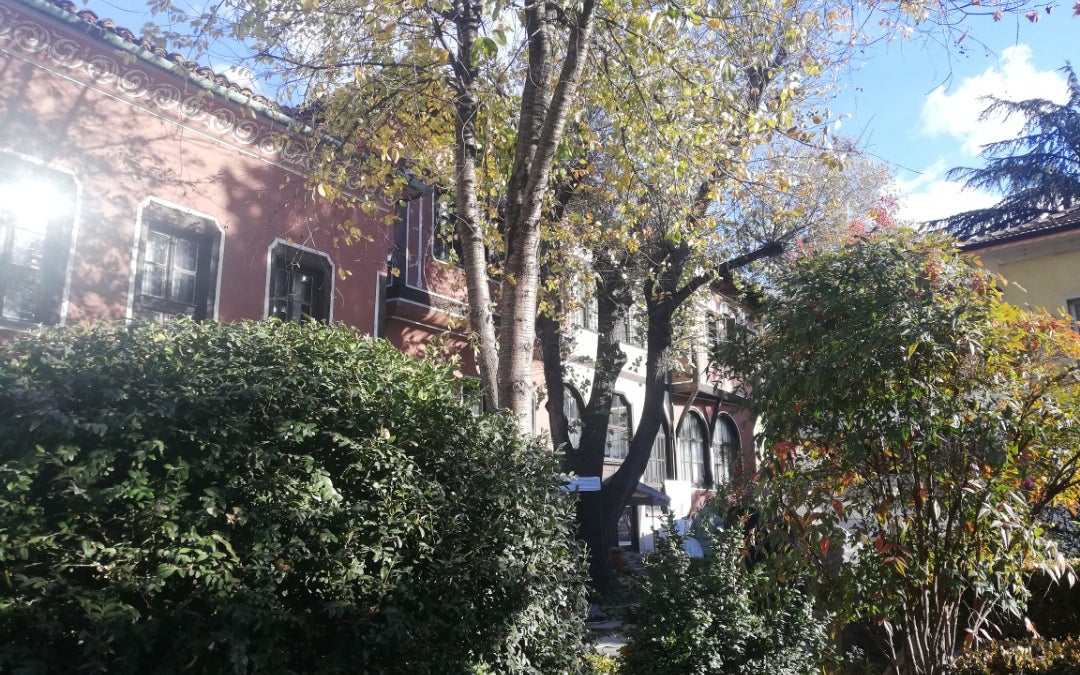 Balabanov House