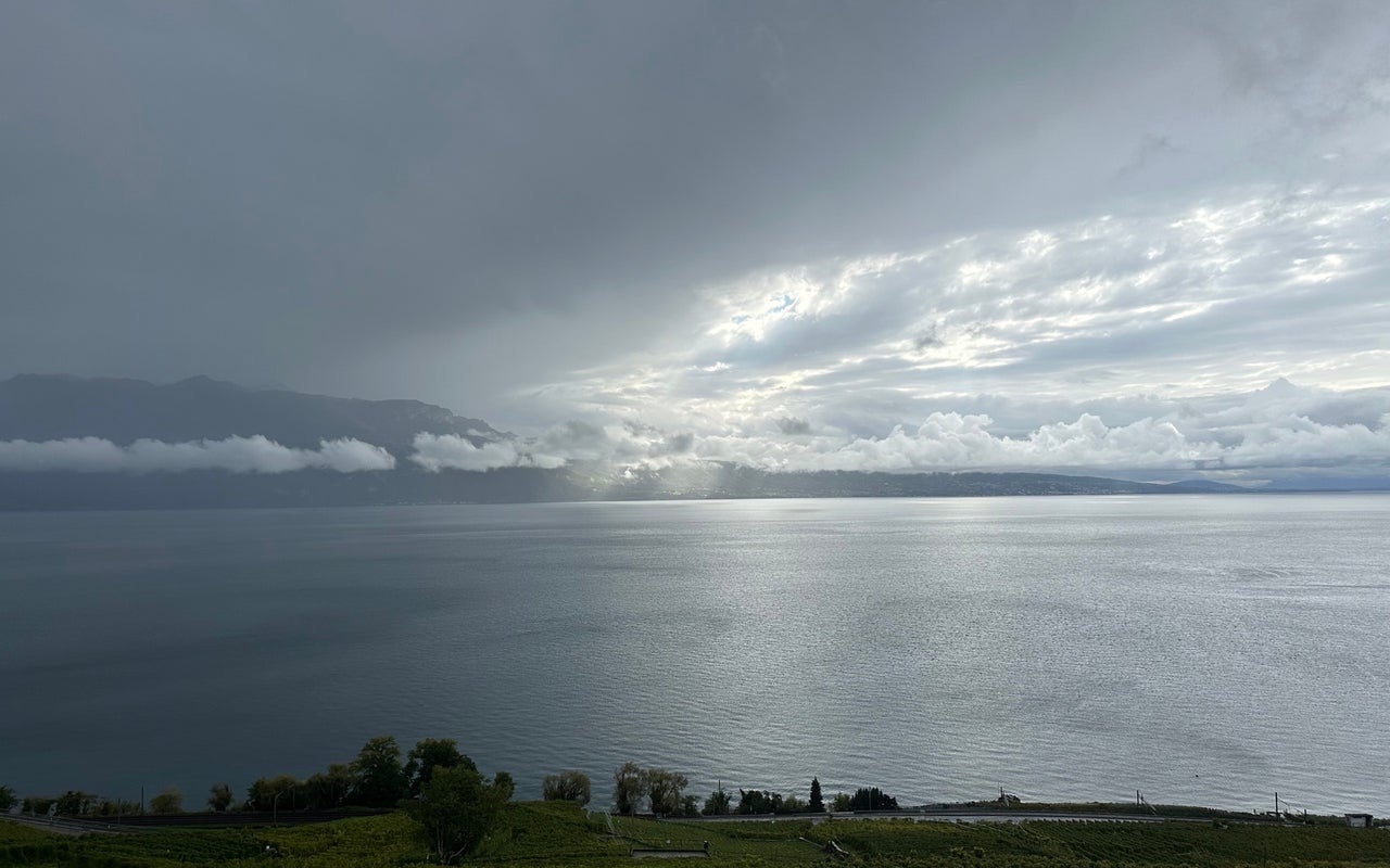 Lavaux, Vineyard Terraces