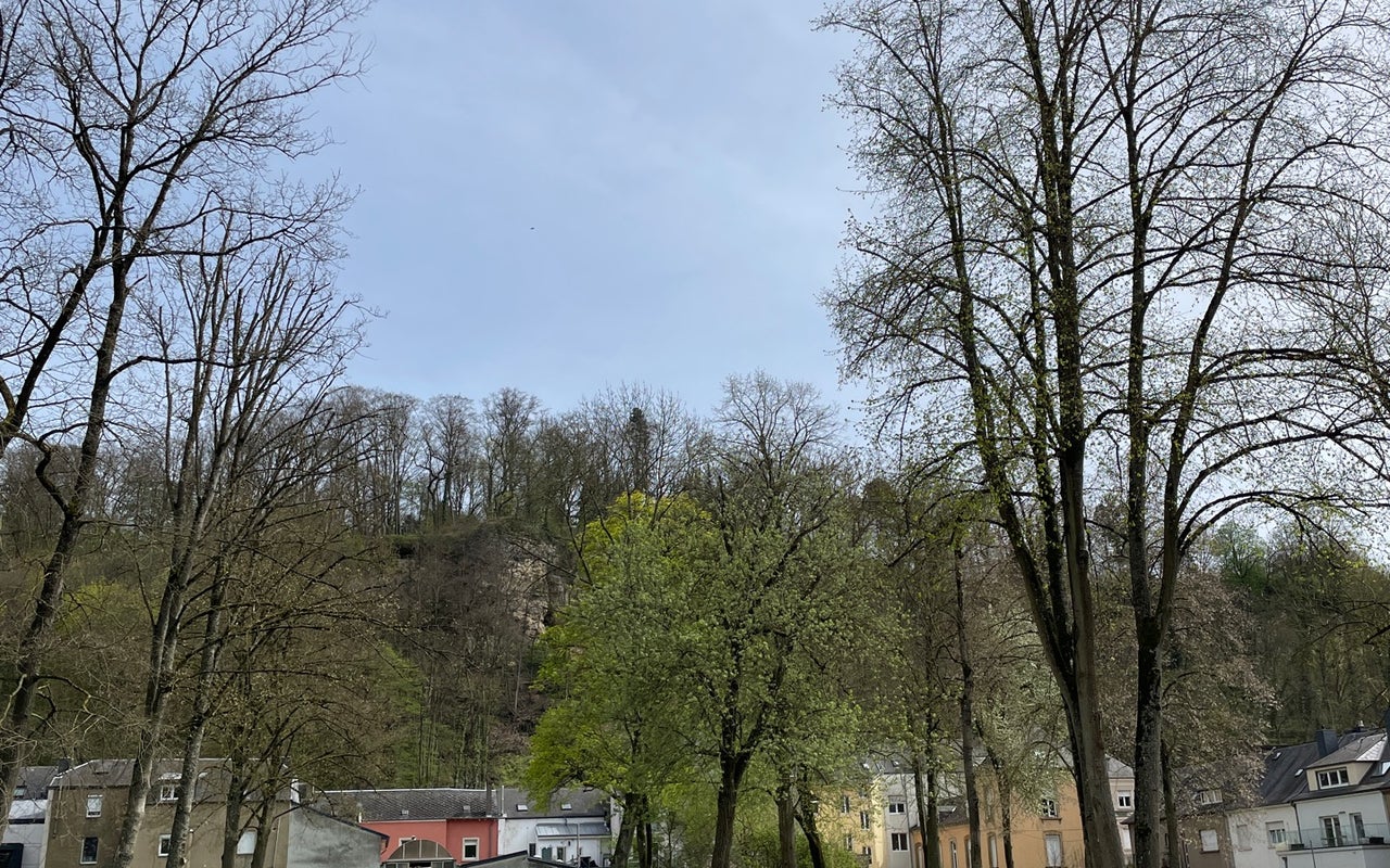 Parc Mansfeld