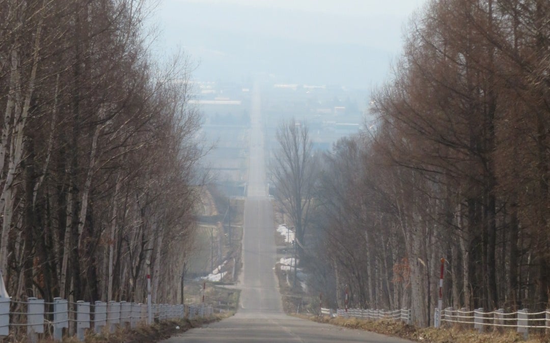 Panorama Road (Biei) (パノラマロード江花)