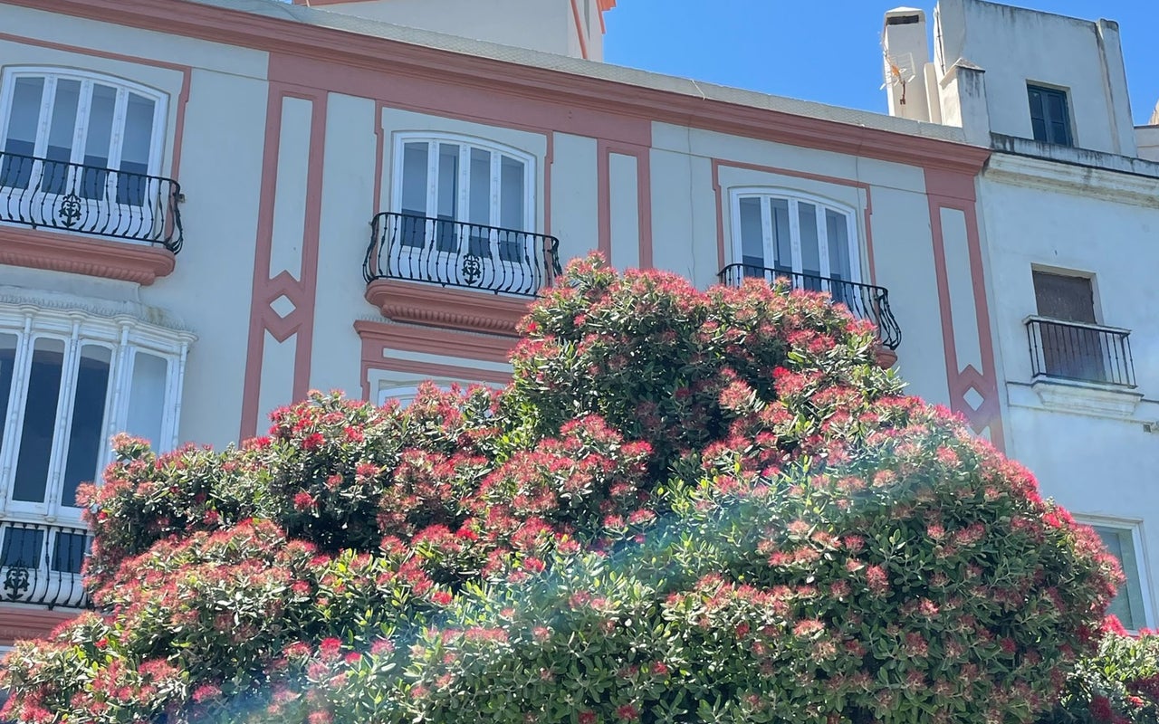 Murallas de San Carlos