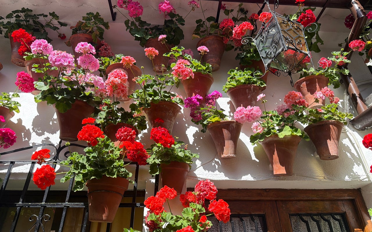 Patios de San Basilio