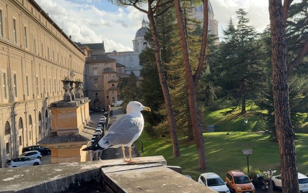Sistine Chapel (Sacellum Sixtinum)