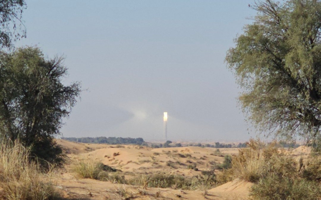 Dubai Desert Conservation Reserve