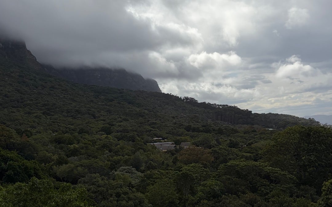 Centenary Tree Canopy Walkway (Boomslang)
