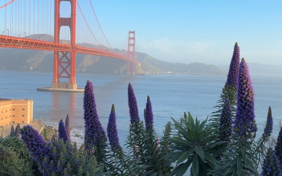Golden Gate Bridge