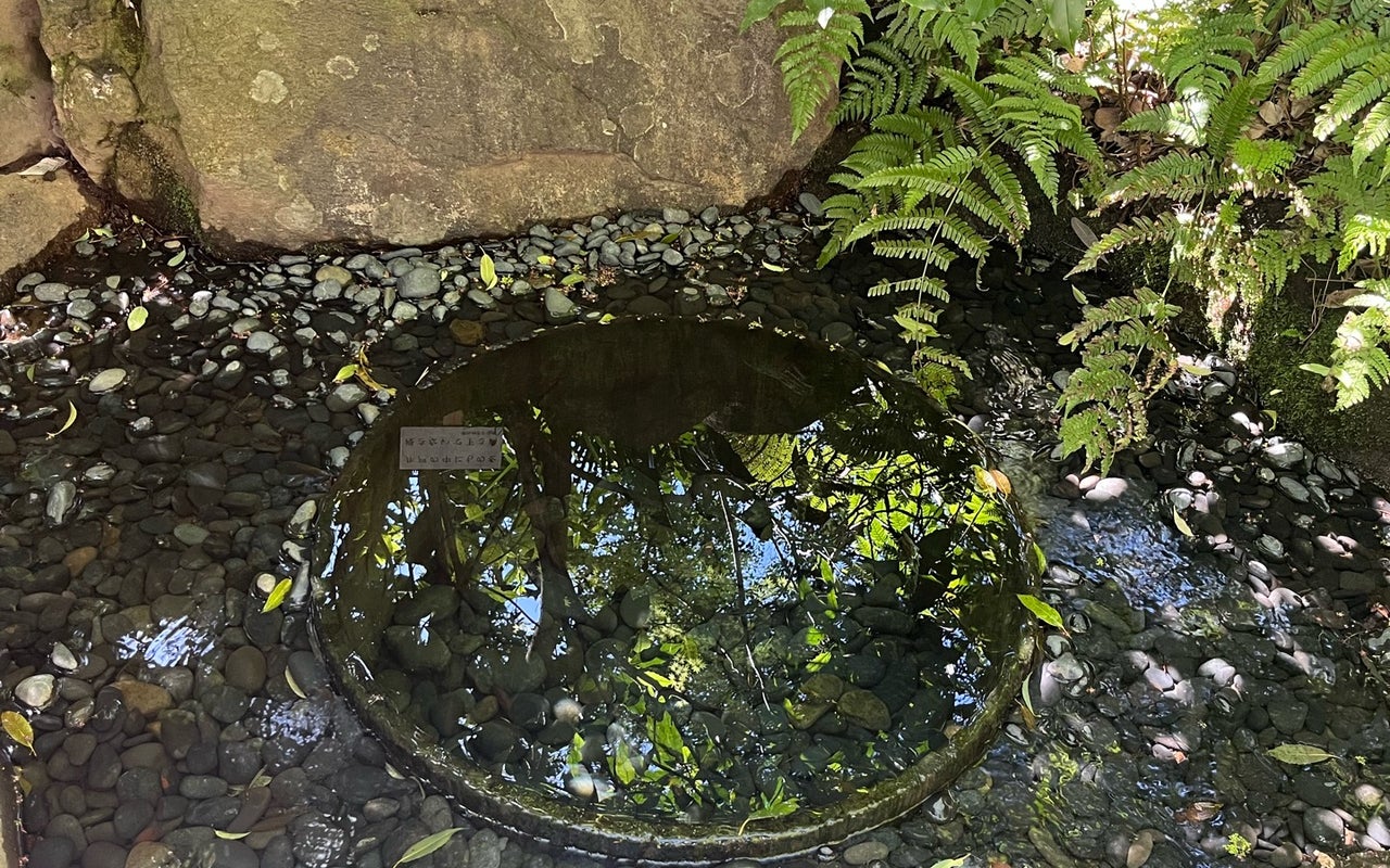 Kiyomasa's Well (清正井)