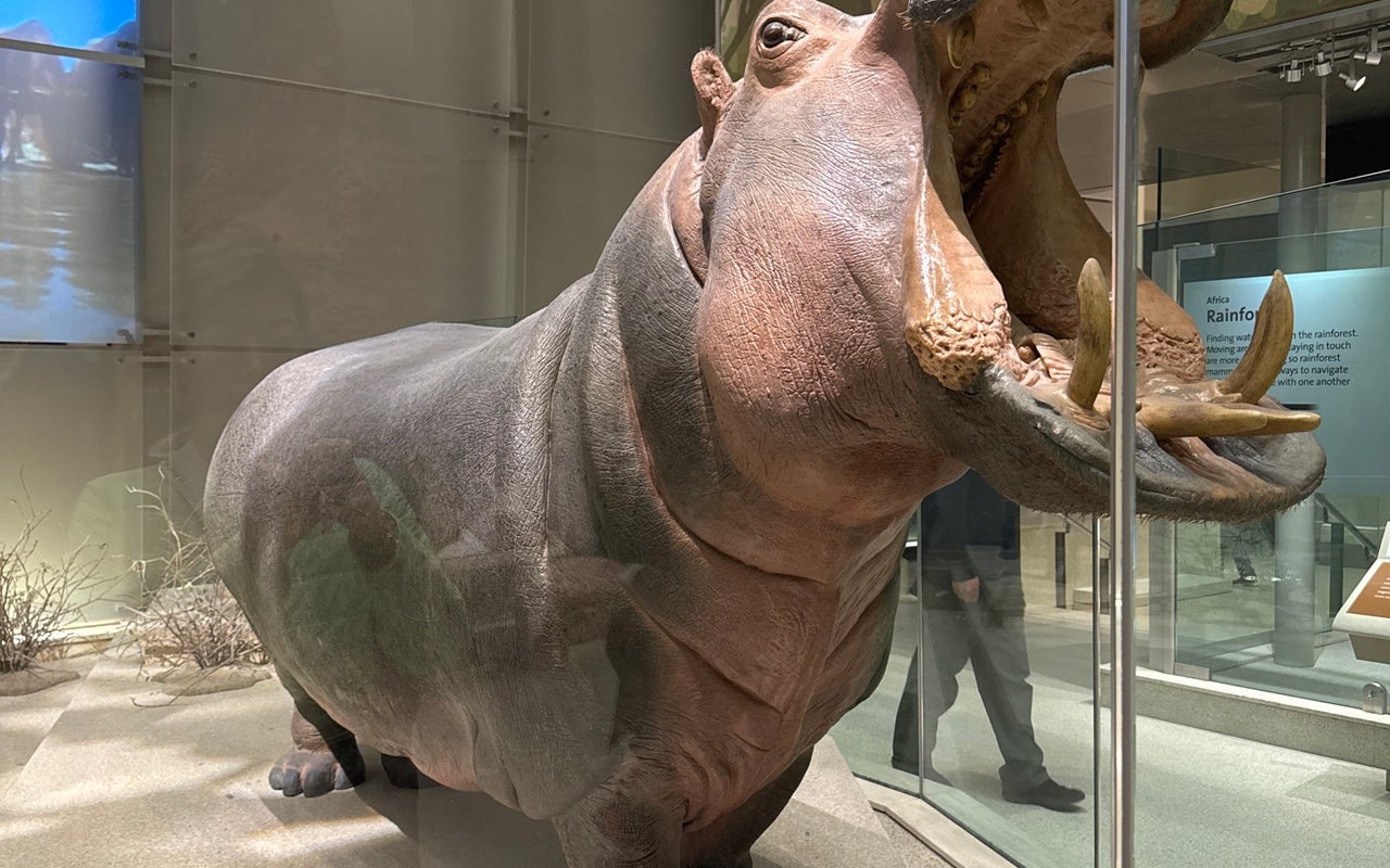 National Museum of Natural History