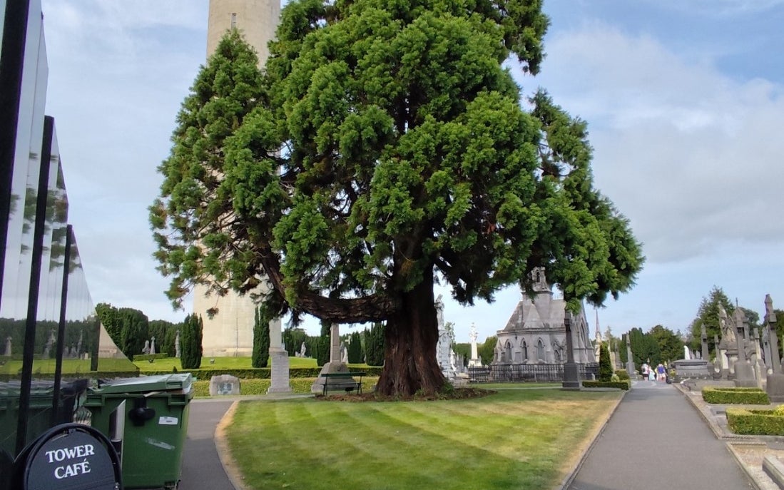 Glasnevin Cemetery