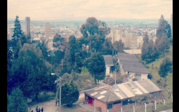 Universidad Distrital Francisco José de Caldas Sede Vivero