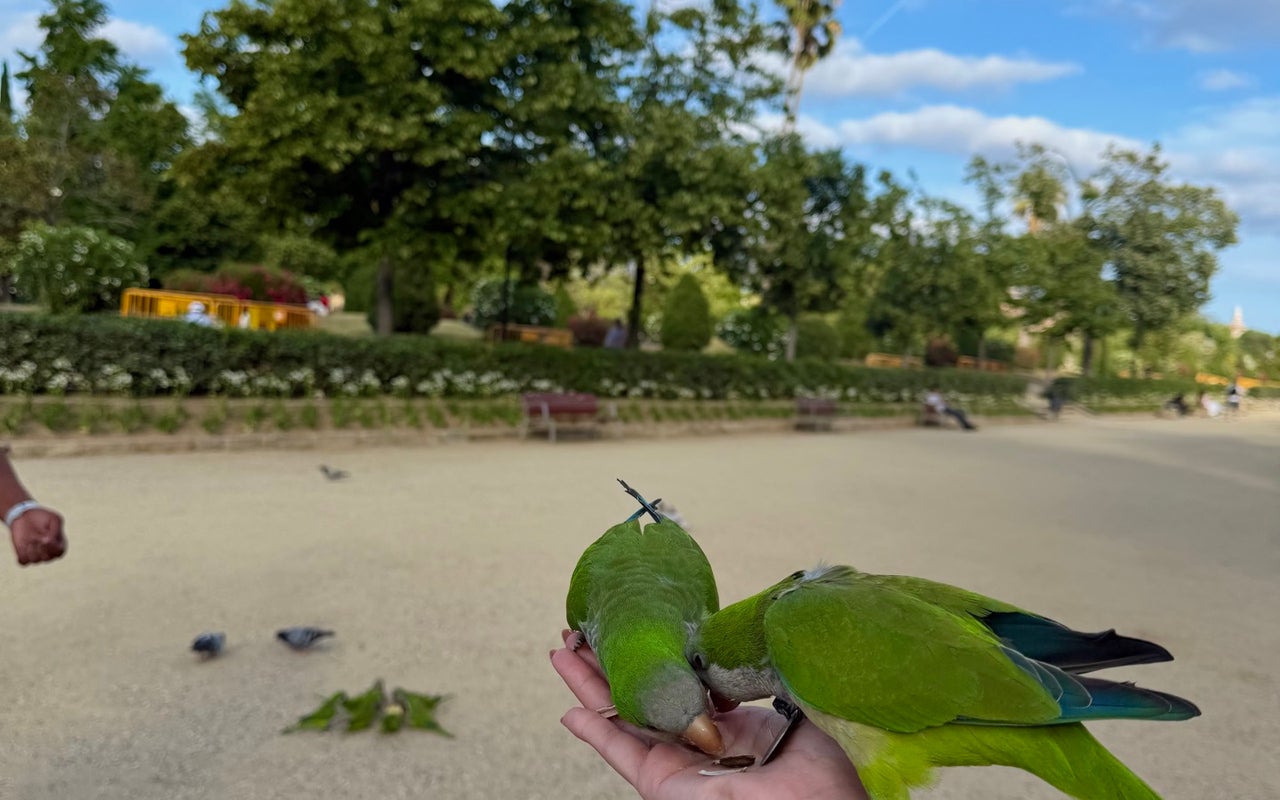 Parc de la Ciutadella