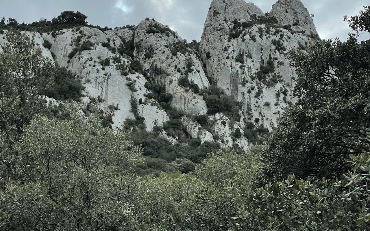 Parc Naturel Régional des Alpilles