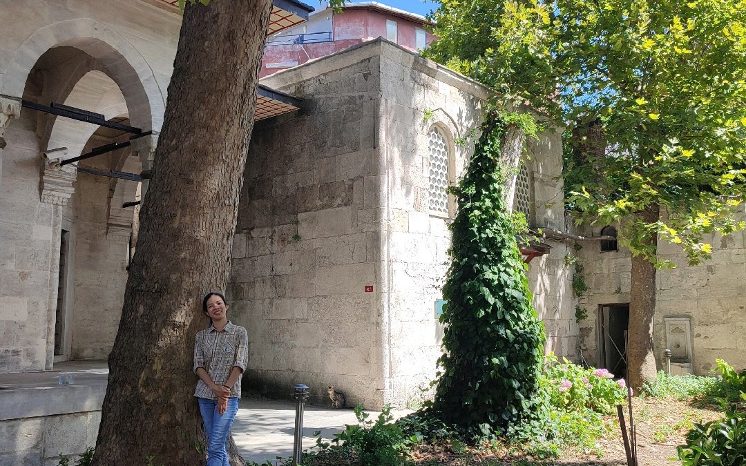 Yahya Kemal Enstitüsü ve Müzesi