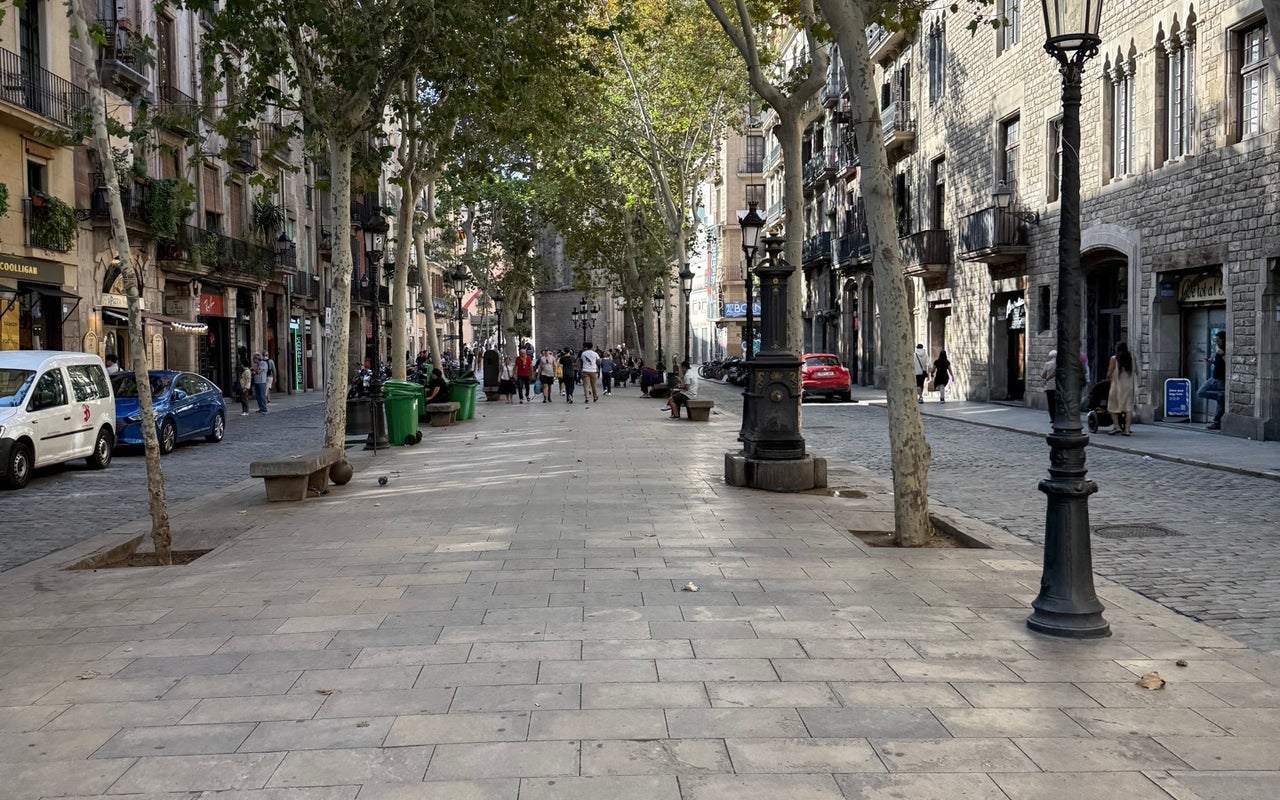 Passeig del Born