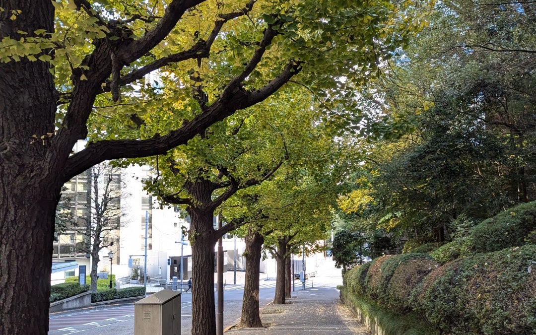 Kioicho Slope (紀尾井坂)