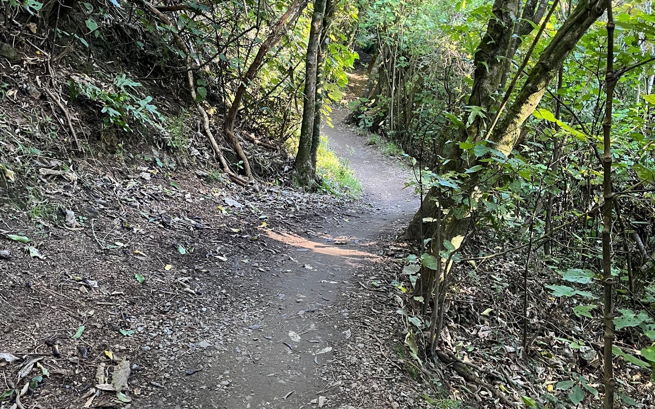 Polhill Reserve