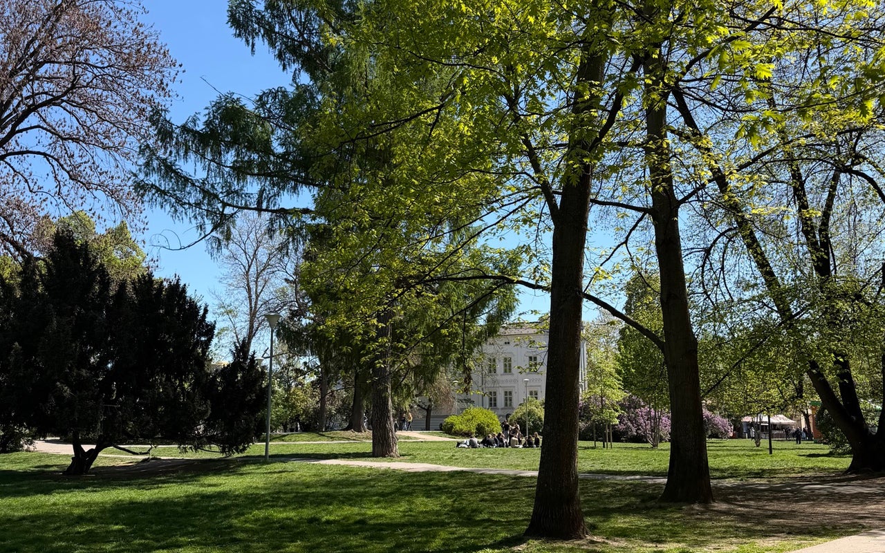 Kampa