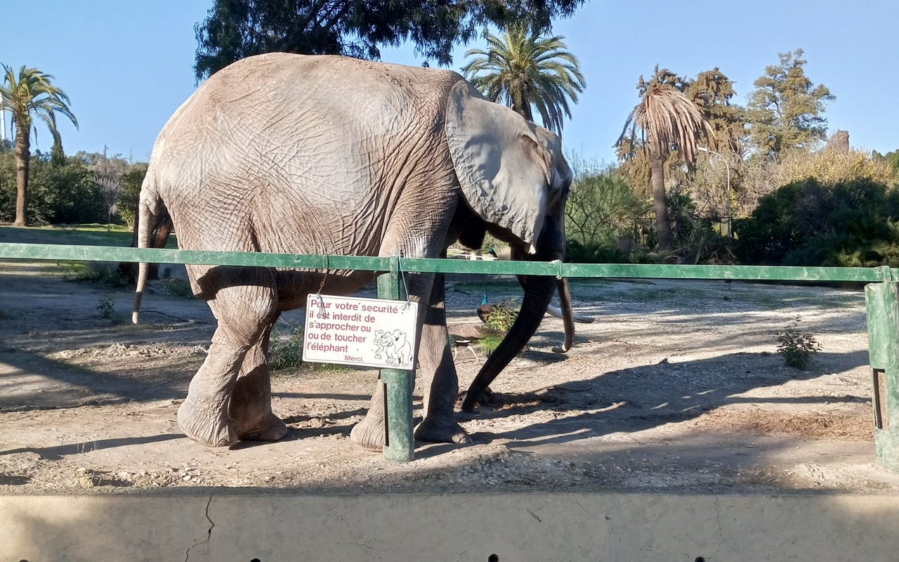 Zoo Belvédère